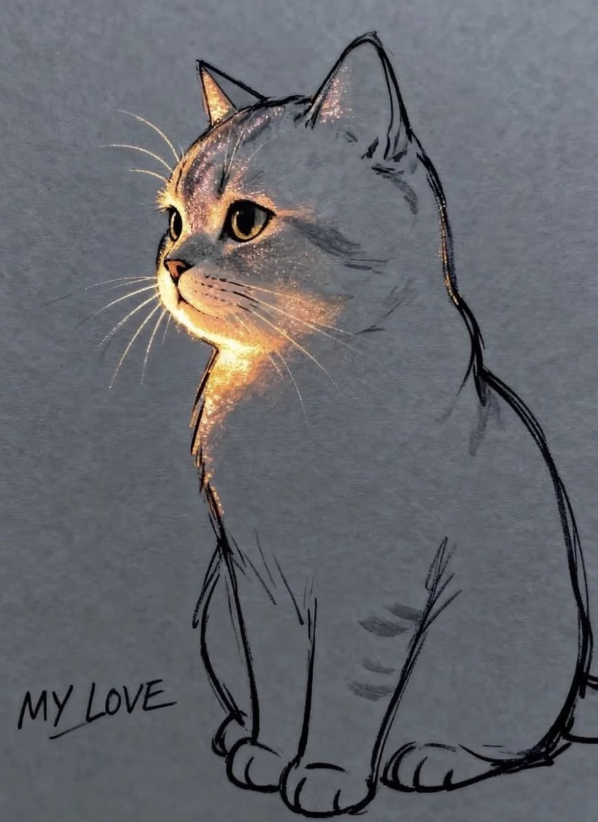 cats with powerful aura tweet media