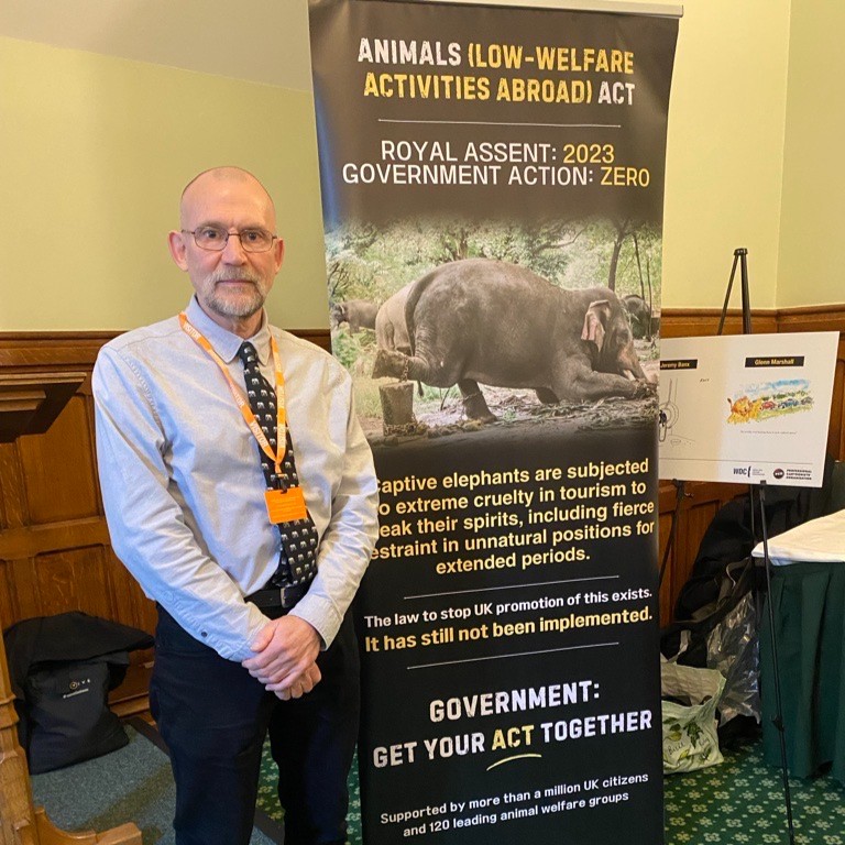 Born Free Foundation tweet media