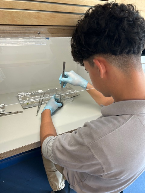 josemartimast's tweet photo. Today's STEM Orchid Lab visit was a success.  Where Learning Means More Doing @JoseMartiMASTAcademy #YourBestChoiceMDCPS  @SuptDotres https://t.co/k3MrZ7SSU8