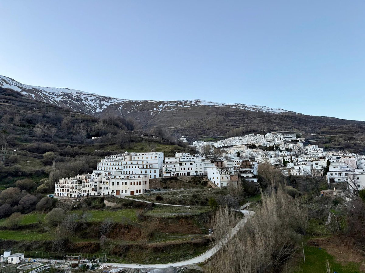 El viaje del mapache 🦝 tweet media