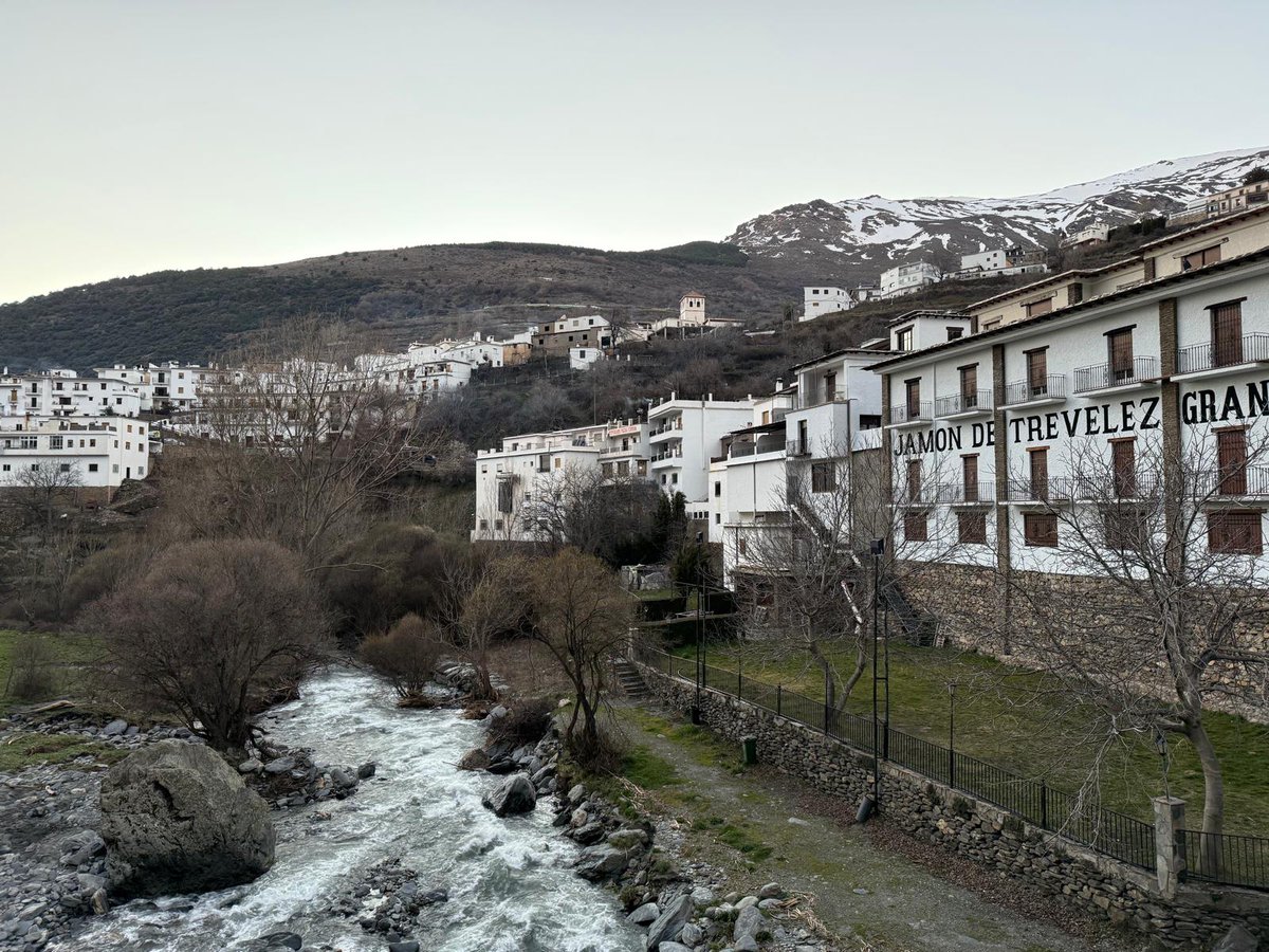 El viaje del mapache 🦝 tweet media