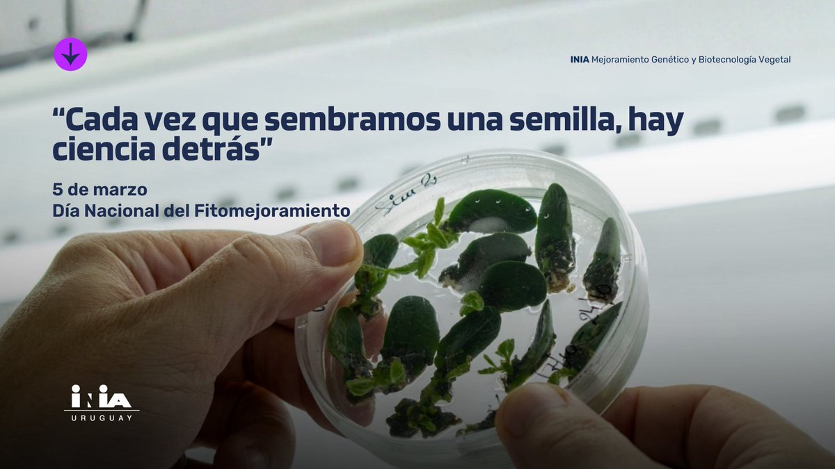 INIA URUGUAY tweet media