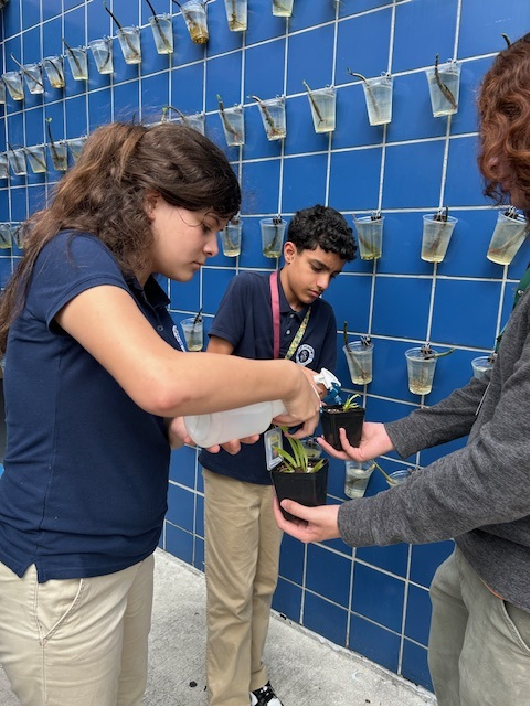 josemartimast's tweet photo. Today's STEM Orchid Lab visit was a success.  Where Learning Means More Doing @JoseMartiMASTAcademy #YourBestChoiceMDCPS  @SuptDotres https://t.co/k3MrZ7SSU8