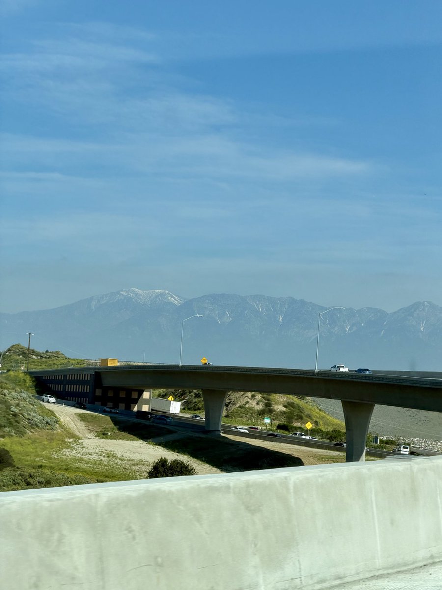 jacquie capur tweet media