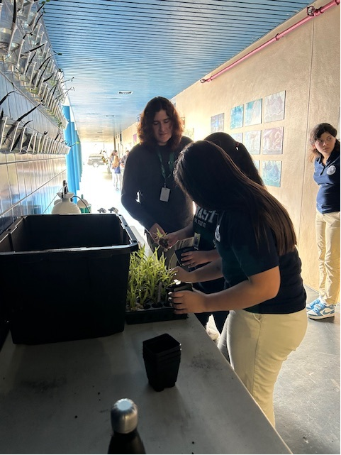 josemartimast's tweet photo. Today's STEM Orchid Lab visit was a success.  Where Learning Means More Doing @JoseMartiMASTAcademy #YourBestChoiceMDCPS  @SuptDotres https://t.co/k3MrZ7SSU8