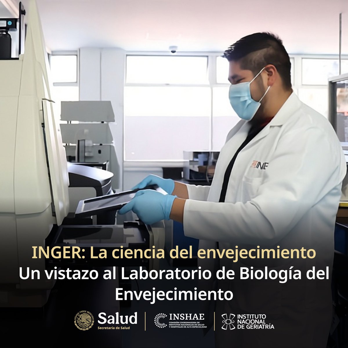 ccinshae_mx tweet media