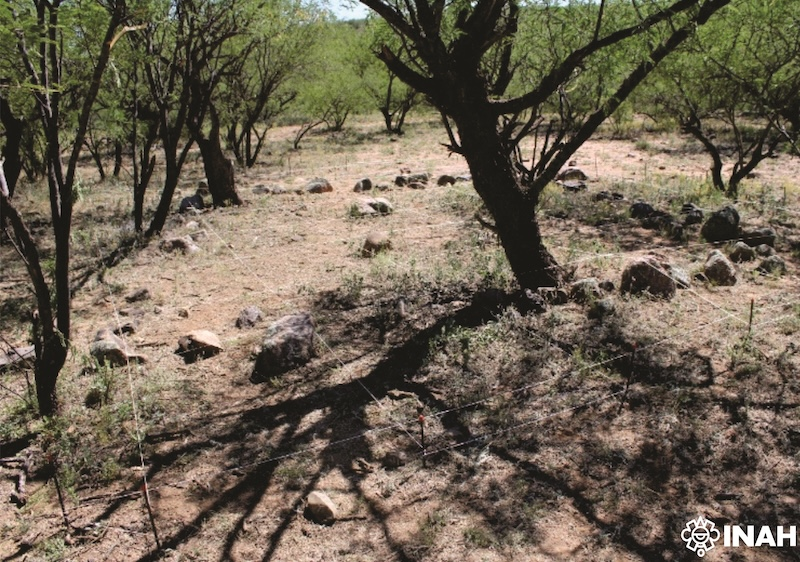 🚨 OJO: Encuentran aldea prehispánica y petrograbados en obras de la construcción del tren Ímuris-Nogales en #Sonora.

El hallazgo estuvo a cargo de especialistas del <a href="/INAHmx/">INAH</a> y se registró en el valle y cañón del río Cocóspera.

Según autoridades, la aldea de arquitectura de