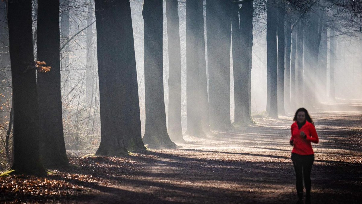 14-jarige Dordtenaar vast voor aanranden hardlopende vrouwen