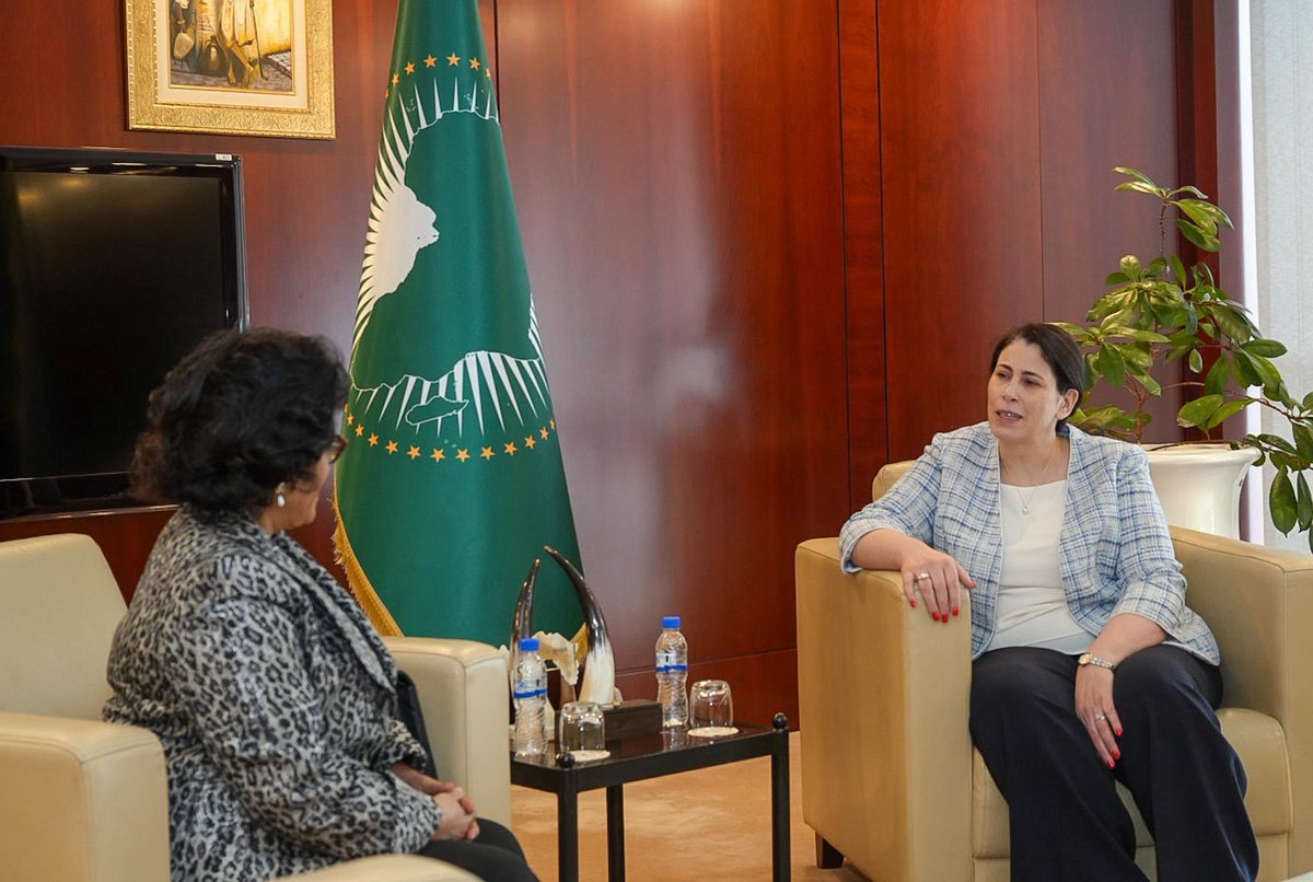 H.E Amb. Selma Malika Haddadi tweet media