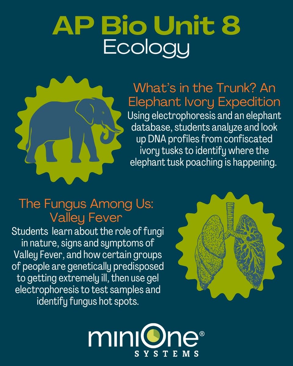 MiniOne® Systems tweet media