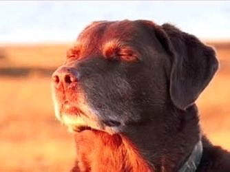 BLACCMASS tweet media