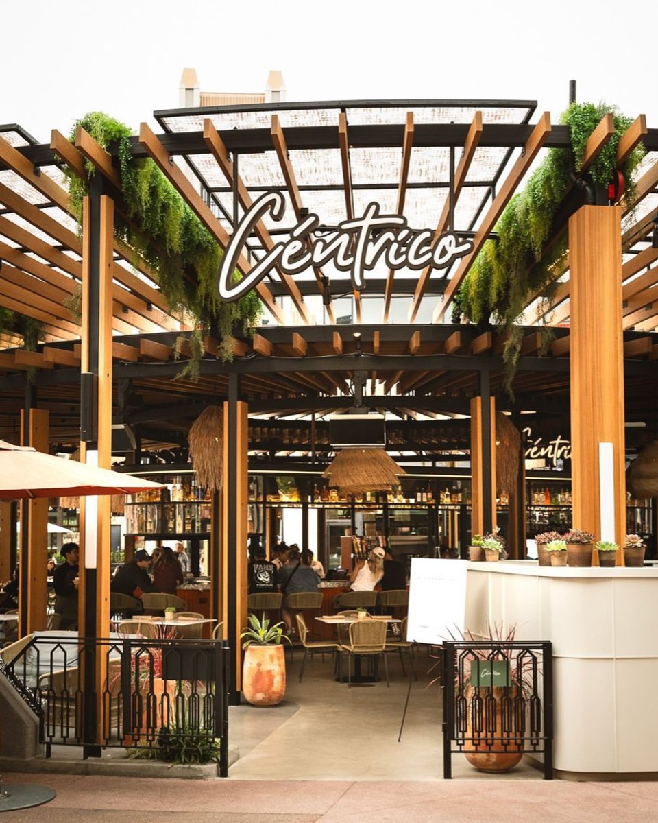 Kelvin Slush Co. tweet media