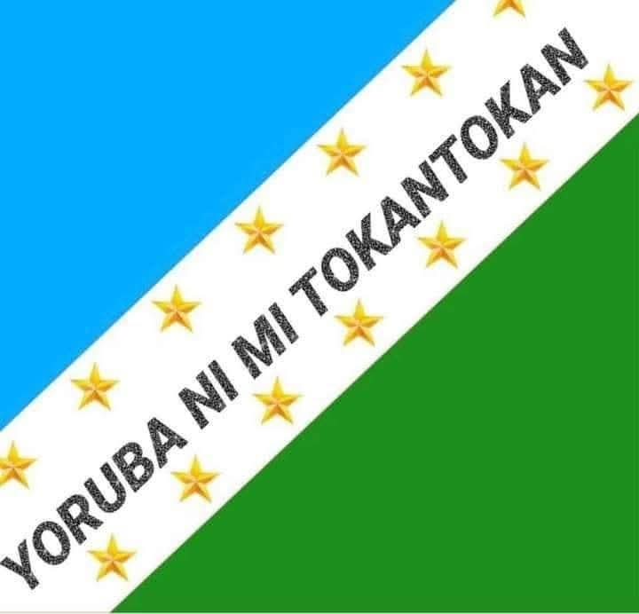 KOIKIMEDIA tweet media