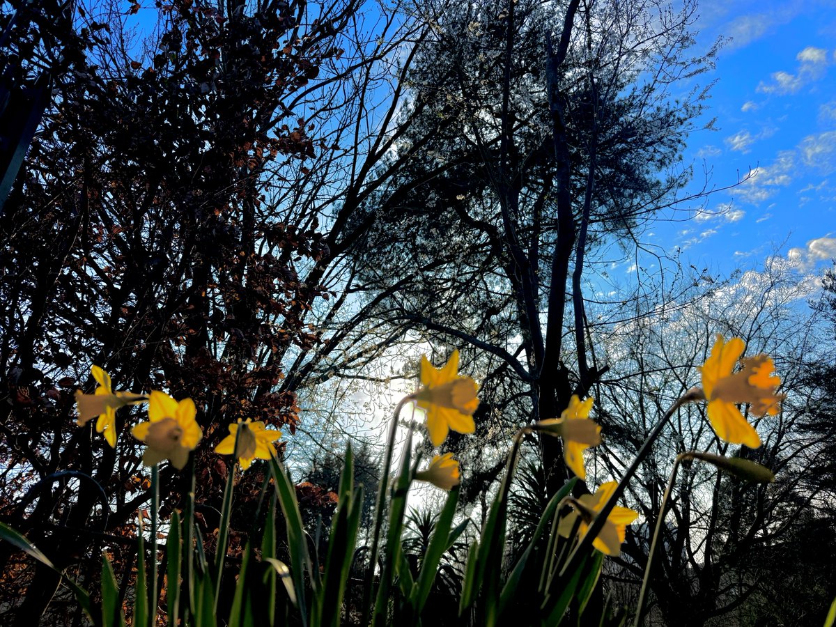 Eamon Deeny tweet media