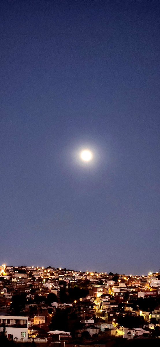 Gonzalo Codina 🇨🇱 tweet media