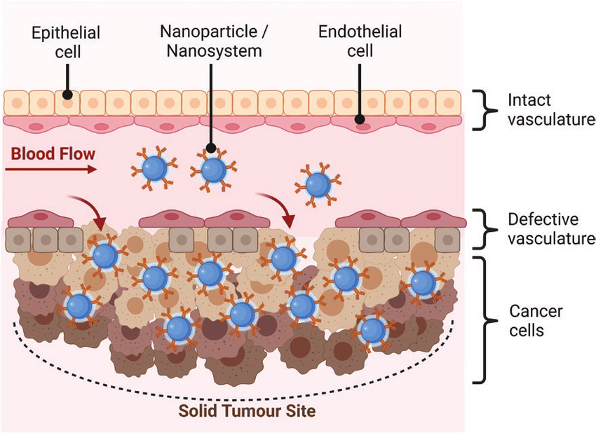LongevityLab tweet media