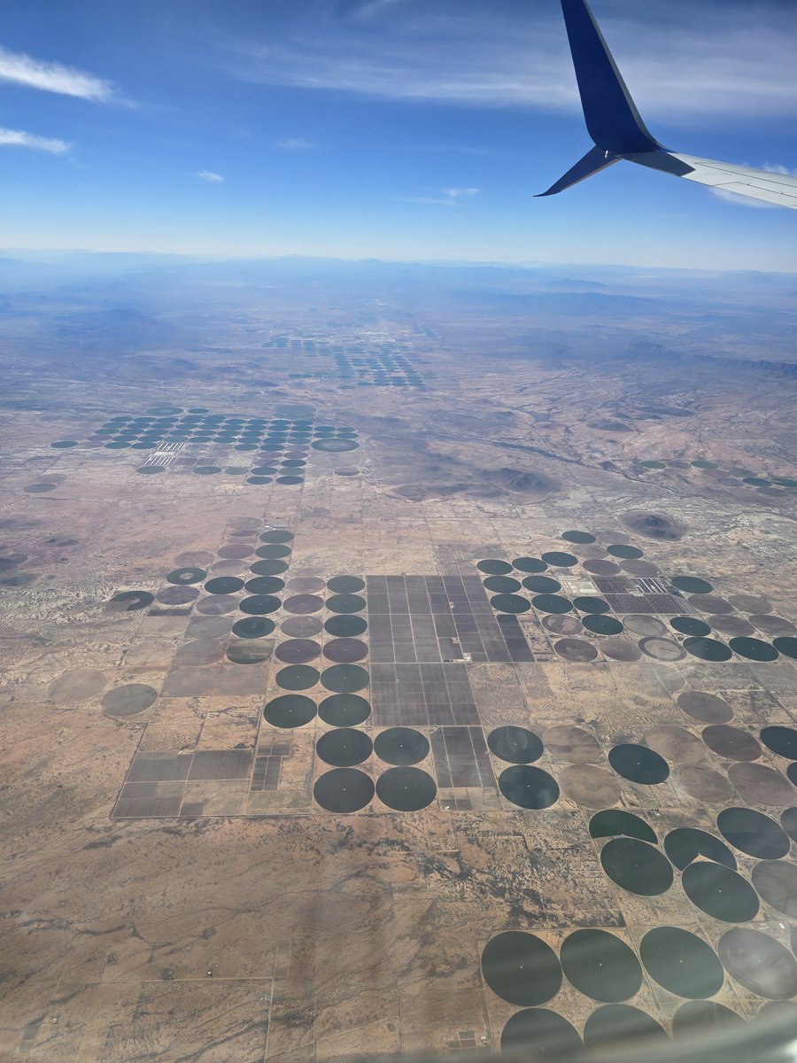 RandomSprint๐งญ tweet media