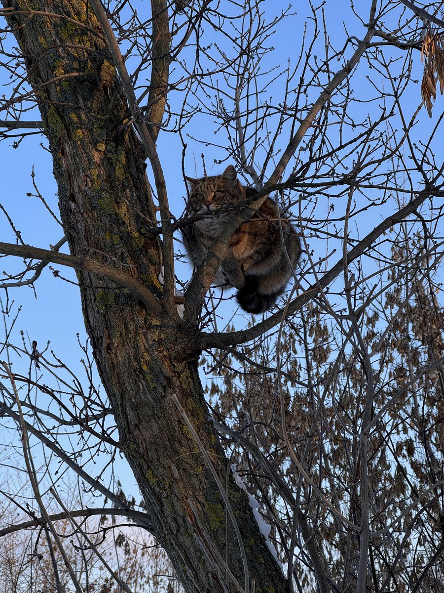 Vasylyna Tyrkus tweet media