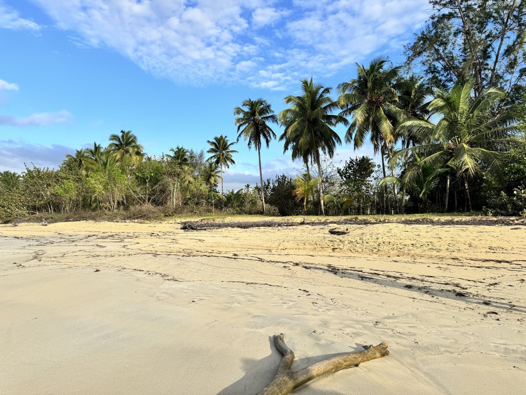 TheArtRopeik's tweet photo. It was a gift to leave the snowy polar vortex behind to swim and paddle in the Caribbean and relax around Miches, where development still hasn't overtaken the lush landscape.

If you need a dose of sunshine via photos, I've put a selection on my blog 👉🏻 https://t.co/LtOuq83MCm https://t.co/Tg3KCrtwk0