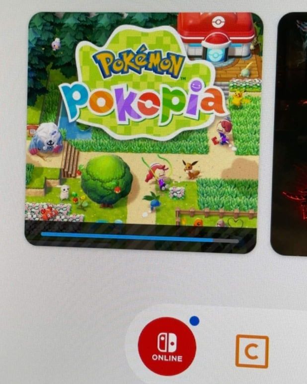 Kitori 🐑🔔 | Border Collie tweet media