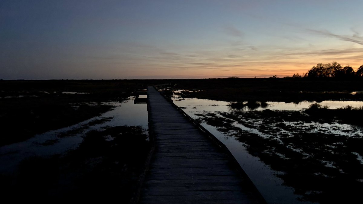 Emma Rydnér tweet media