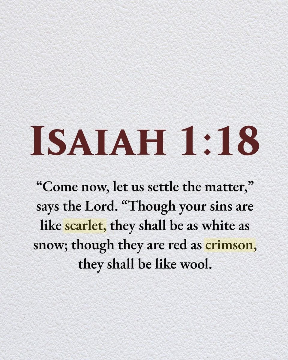 Holy Bible tweet media