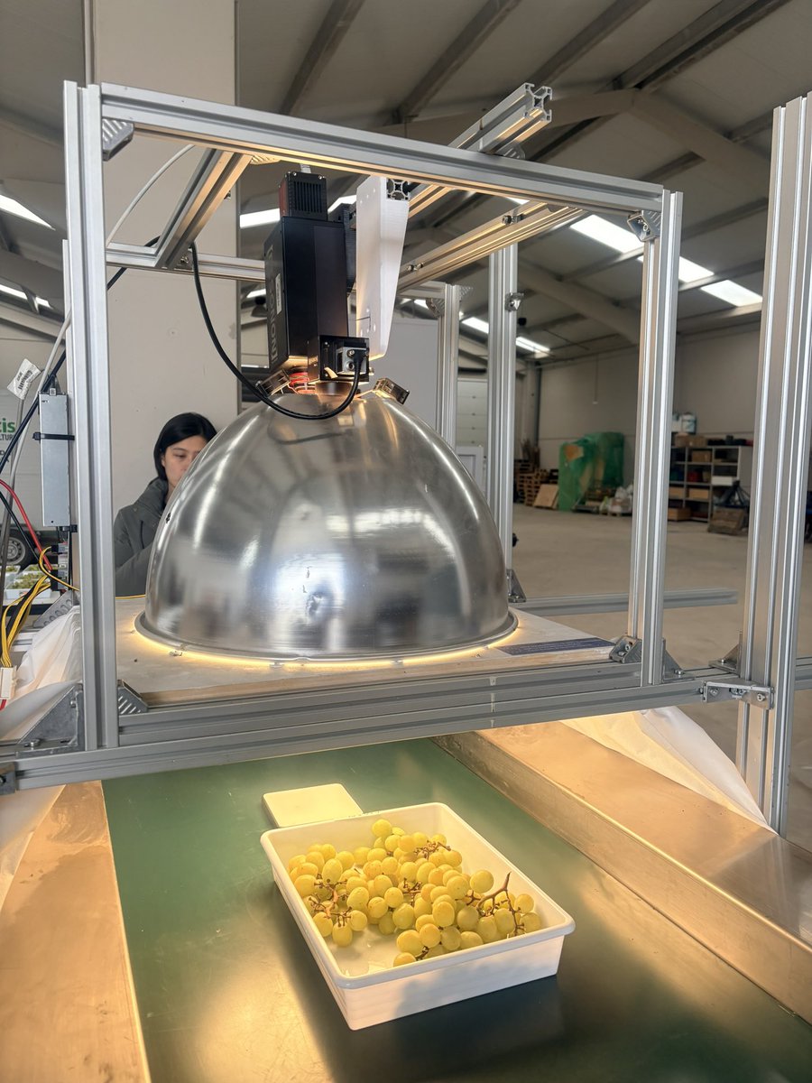 Empezando con las medidas del ensayo de identificación de fungicidas en uva mediante visión hiperespectral <a href="/unirioja/">Universidad de La Rioja</a> <a href="/icvv_rioja/">Instituto de Ciencias de la Vid y del Vino (ICVV)</a> <a href="/AgEInves/">Agencia Estatal de Investigación</a>