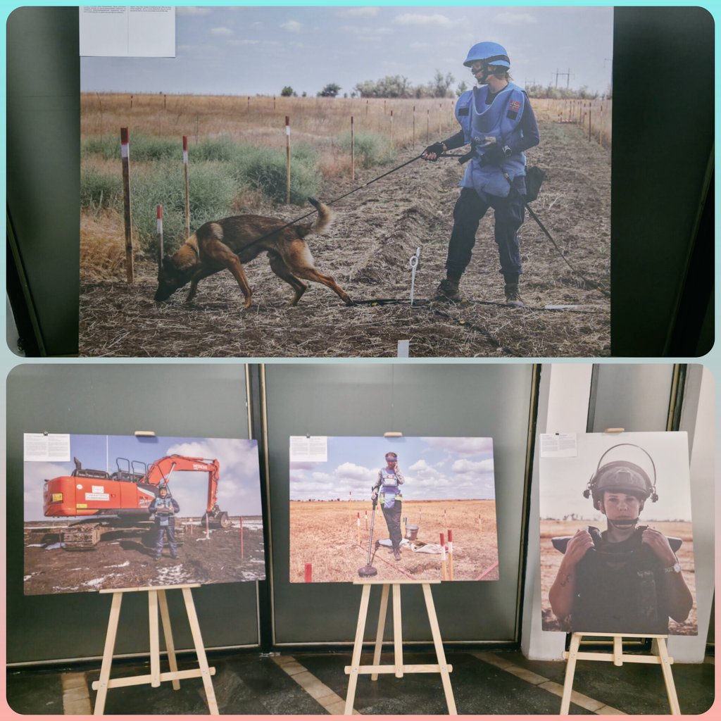 Tory Jam 🇺🇦🕊️ tweet media