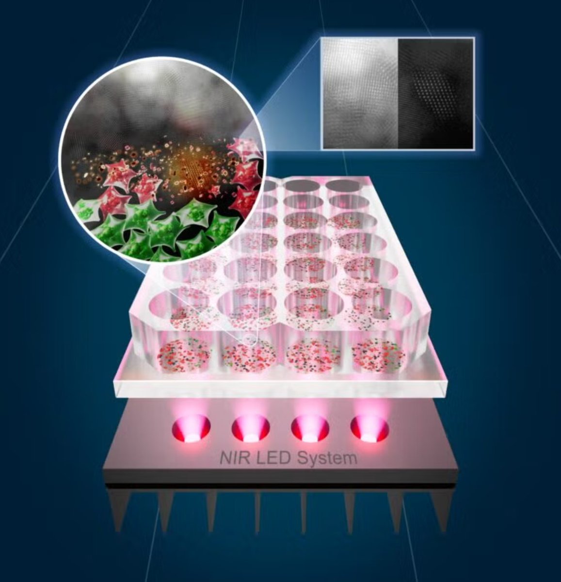 LongevityLab tweet media