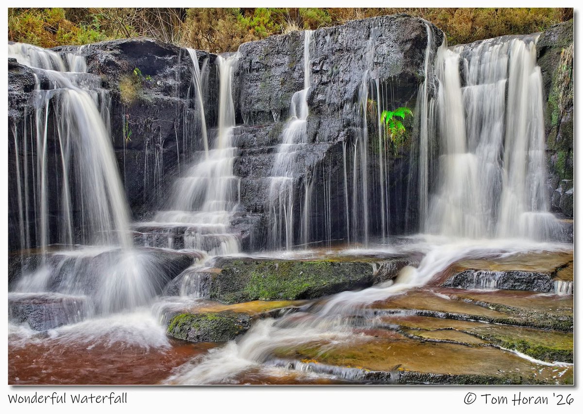 ThisIsIreland3's tweet image. Wonderful Waterfall 🏞️🌊

📍There's something peaceful &amp;amp; tranquil about waterfalls, and this one in County Wicklow, is no exception 💚

📸 Tom Horan '26

#Peace #Tranquil #Wicklow #Ireland #Waterfall