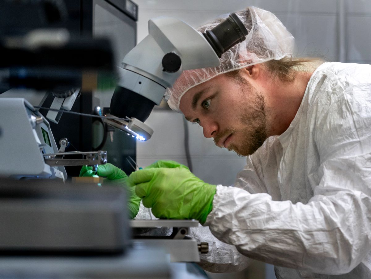 DU Alumni tweet media