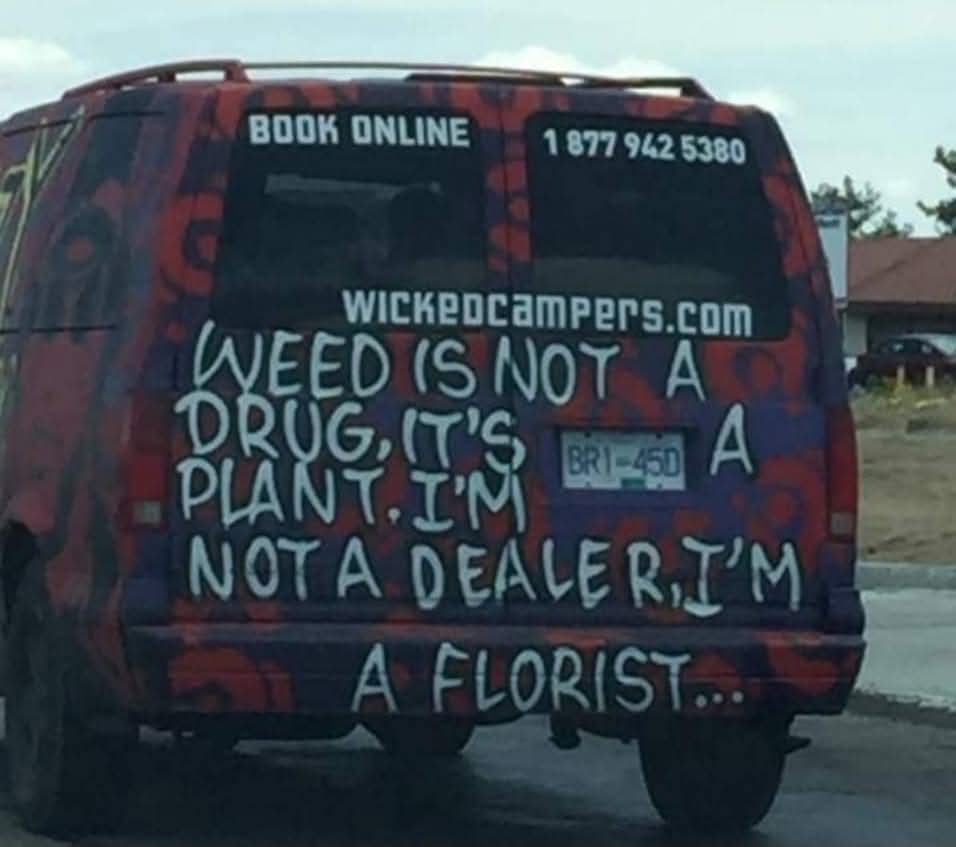 Michael Hamilton COYS 🇯🇲 tweet media