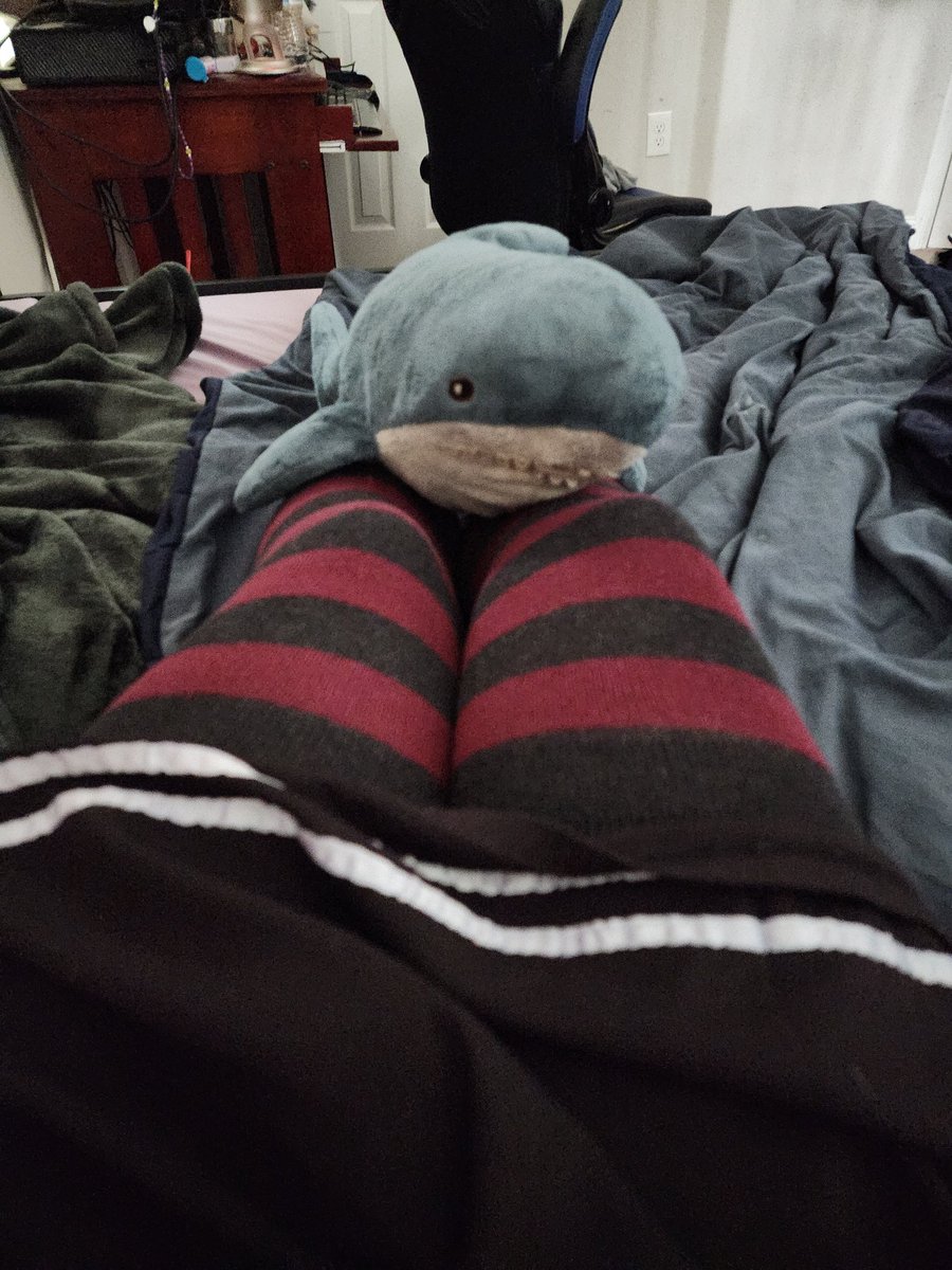 MrsCrumbs_'s tweet photo. im so lonely :C
#trans #femboy #thighs #nsfw https://t.co/lzXwwd7Znk
