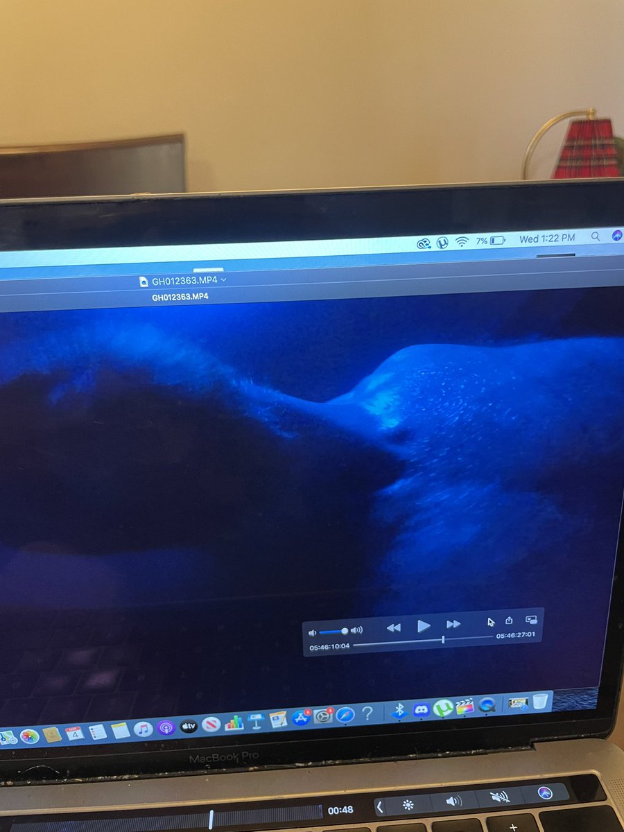 Mike Faoladh tweet media