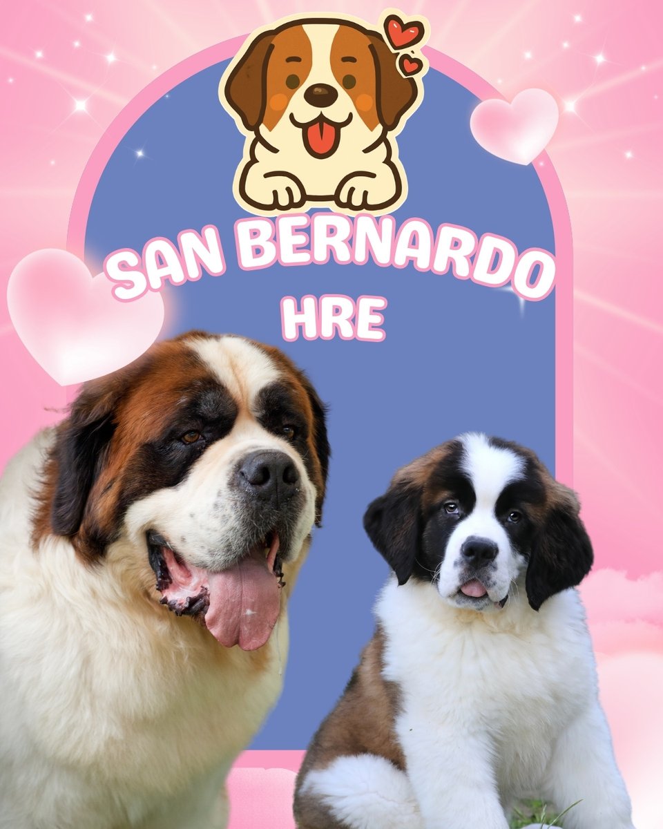 Mascotas Cachorros perros gatos Colombia club tweet media