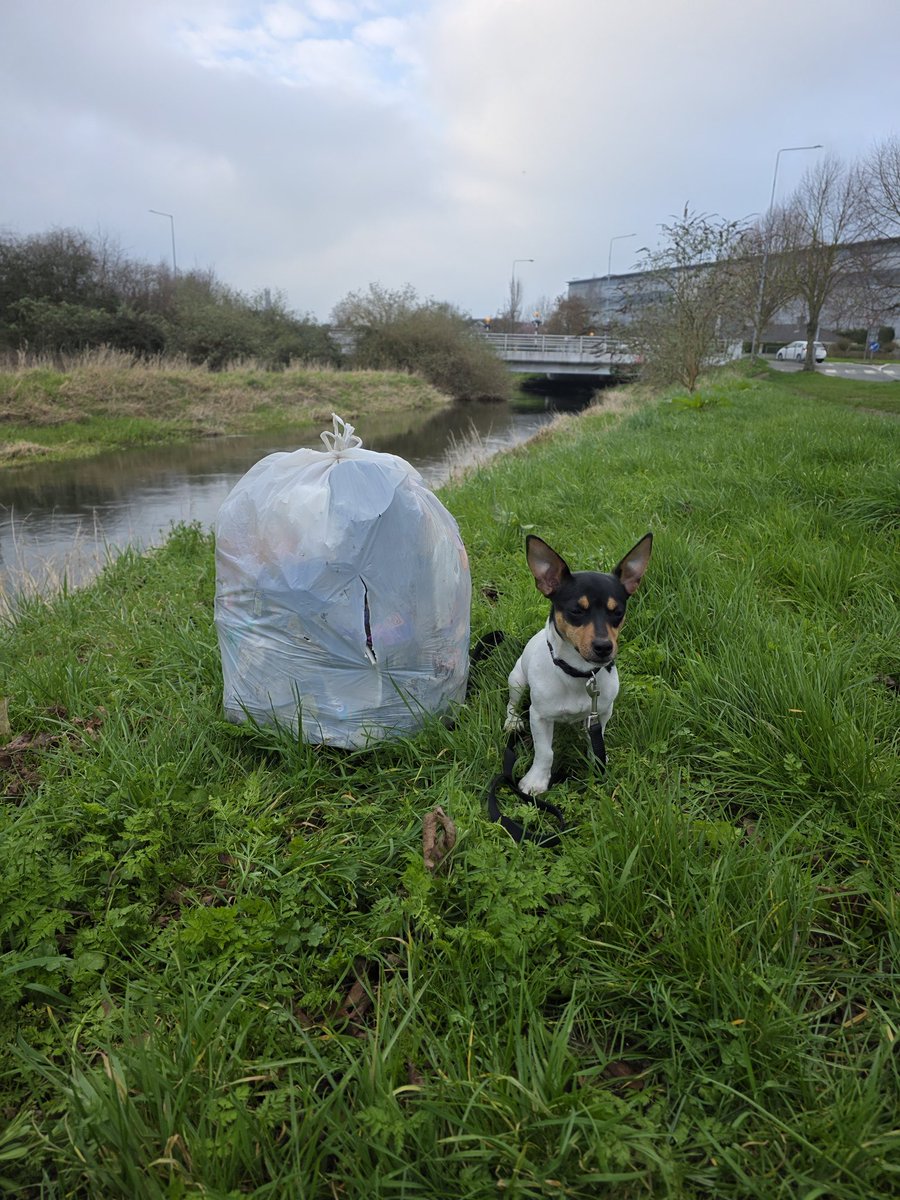 respecting nature tweet media