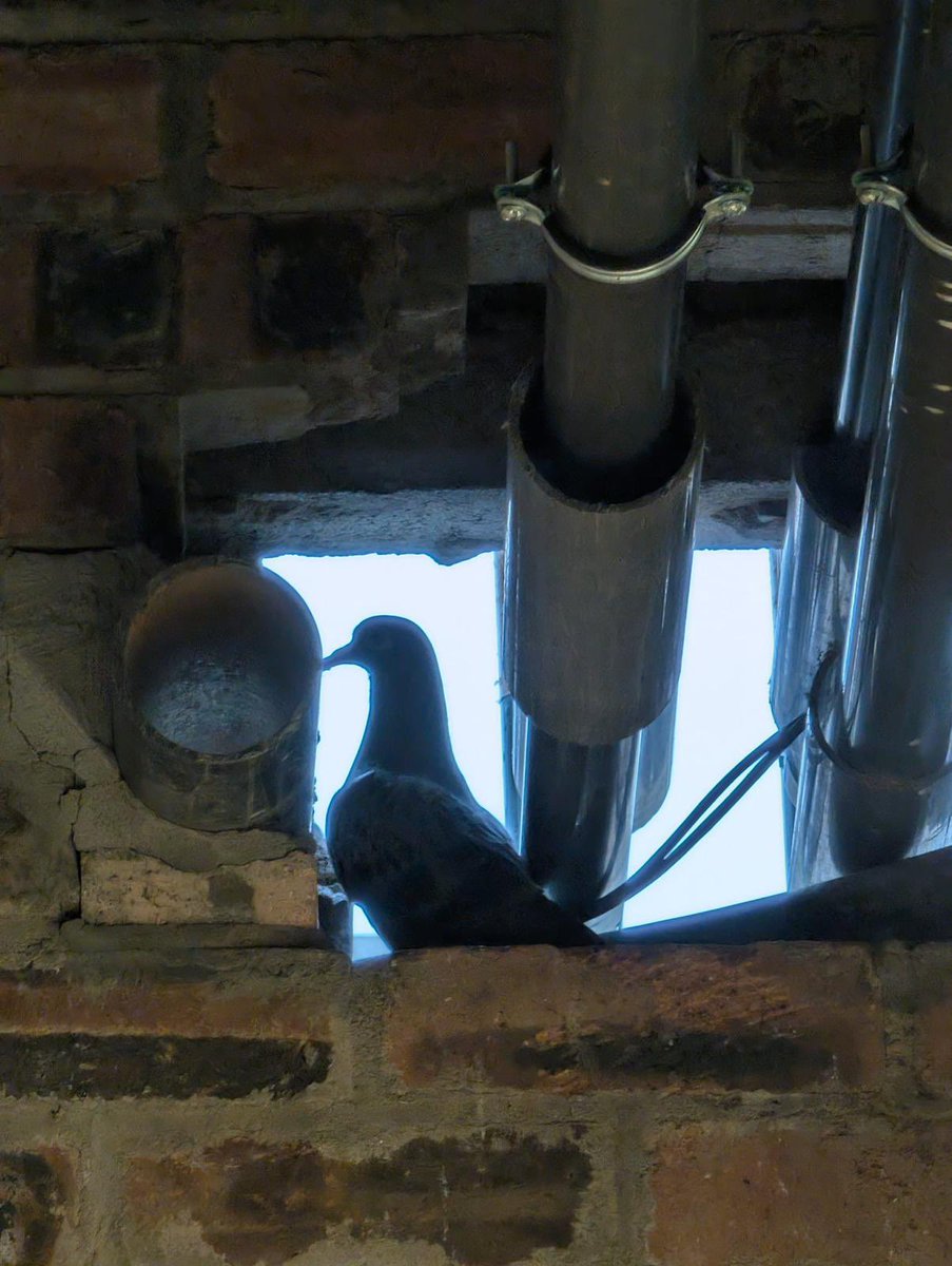 Gary Smith tweet media