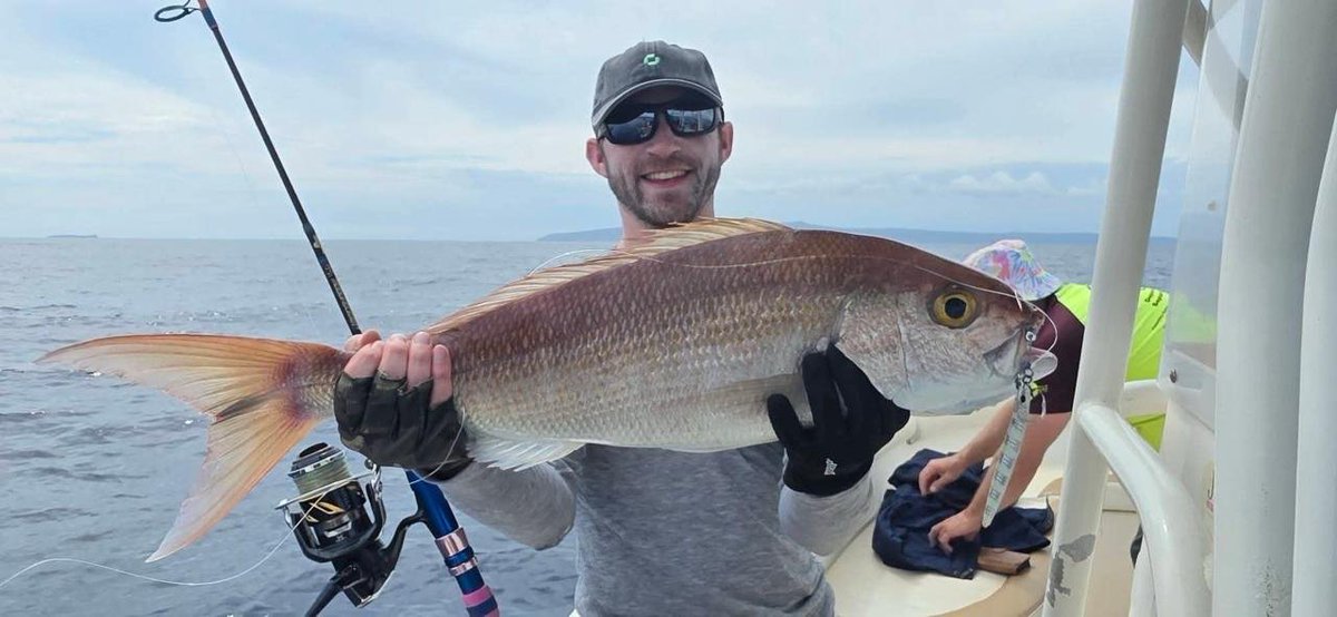 Thomas Hepner tweet media