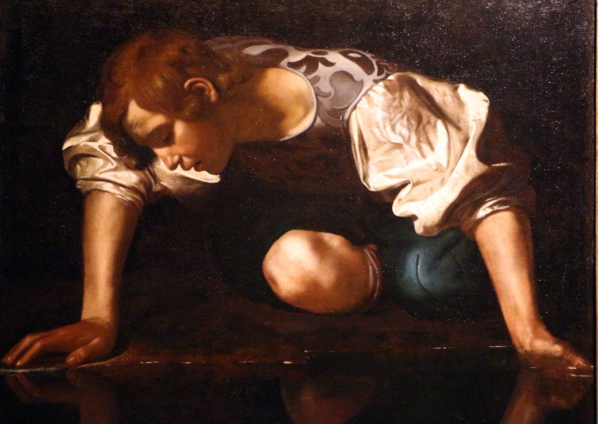 Narcissus