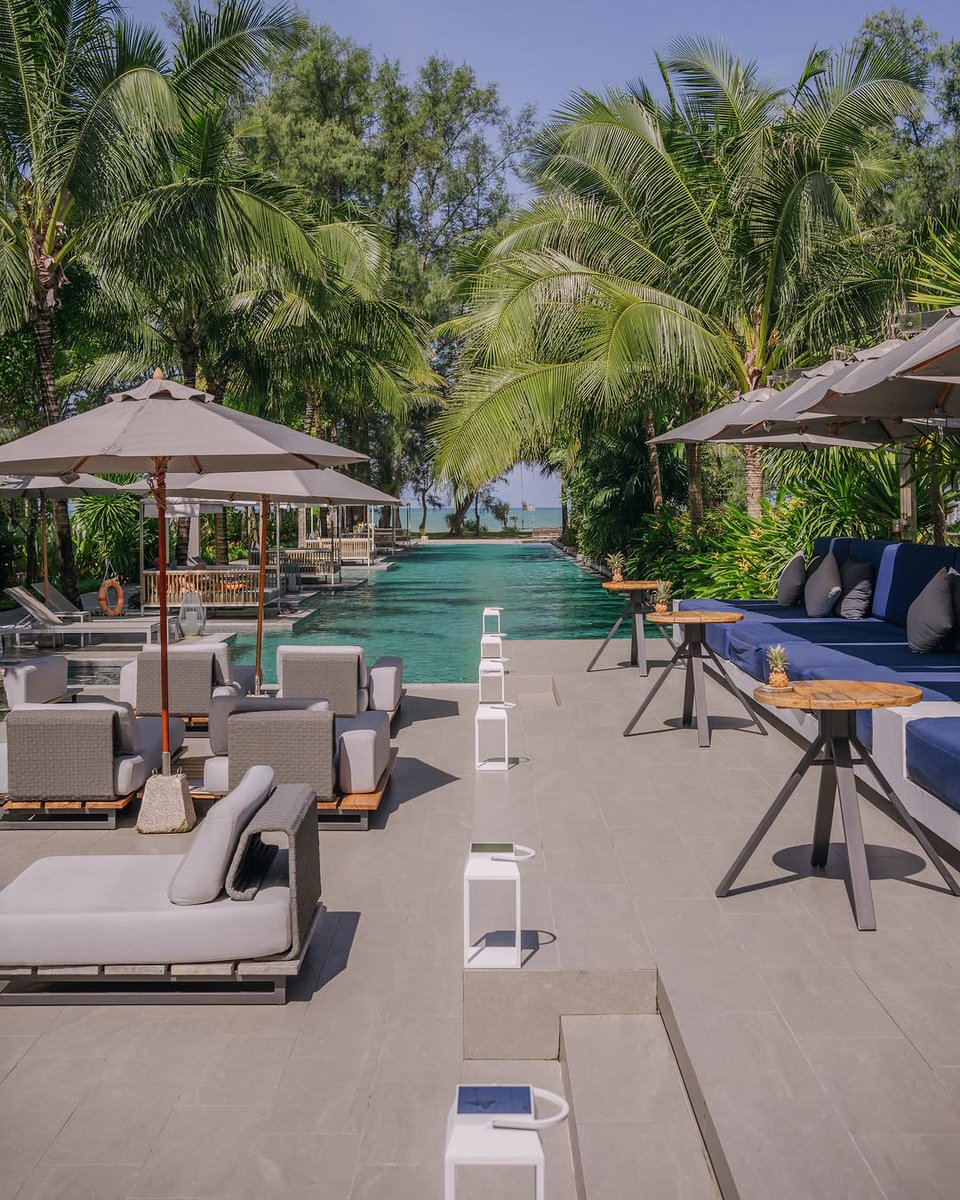 Go Thai Be Free tweet media