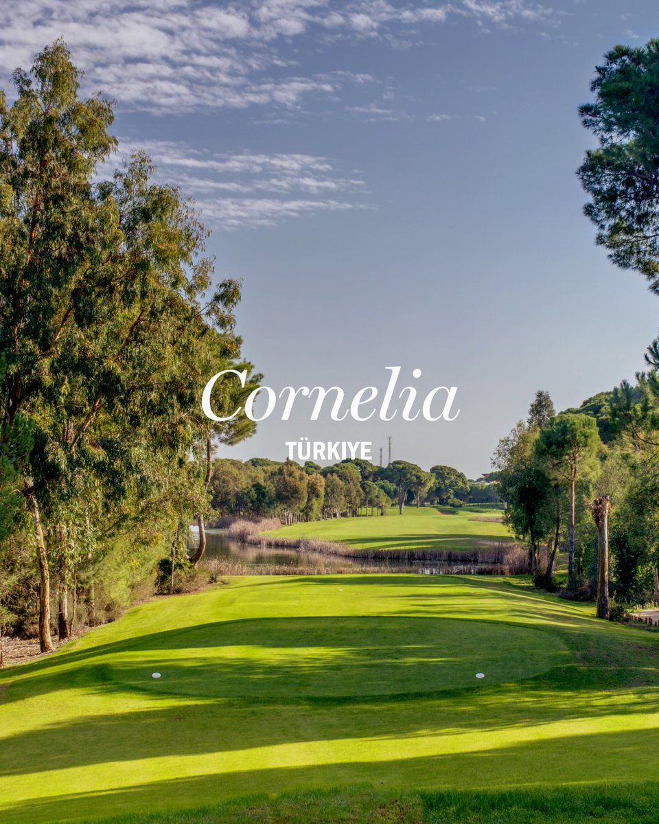 Faldo Design tweet media