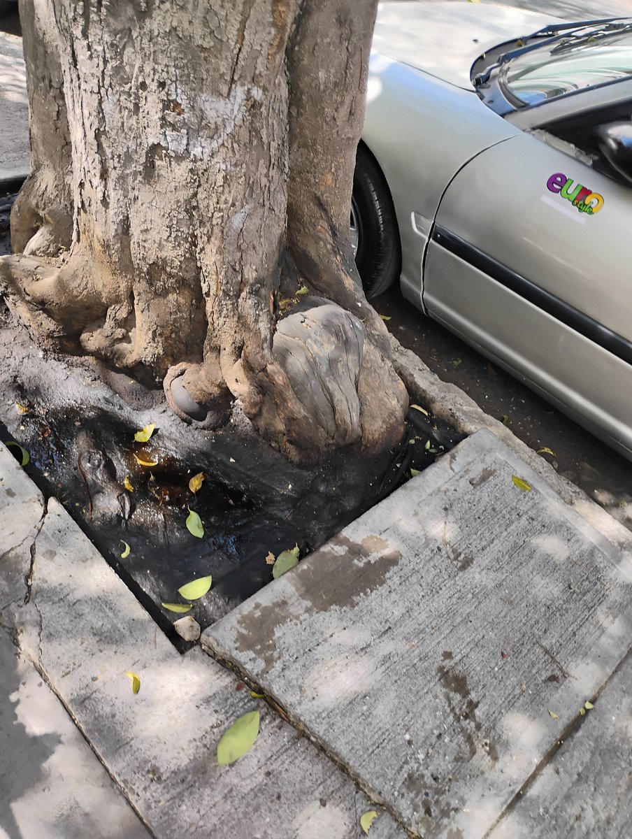 Martin CG tweet media