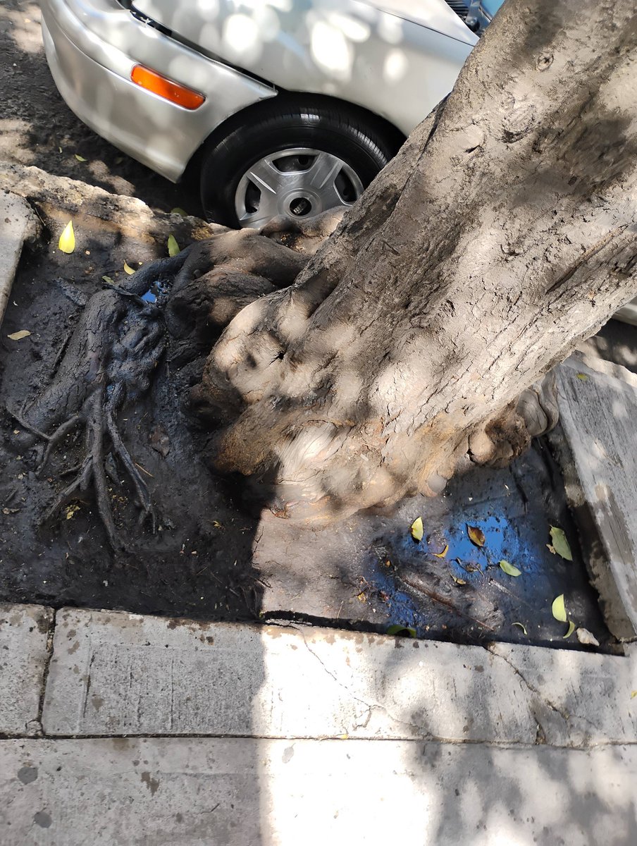 Martin CG tweet media