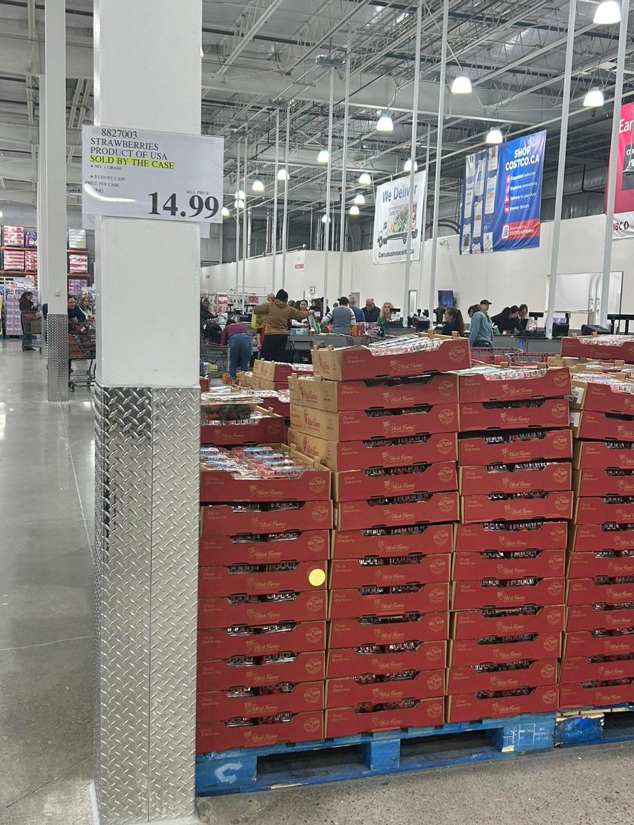 EconomicWoes 🤖 tweet media