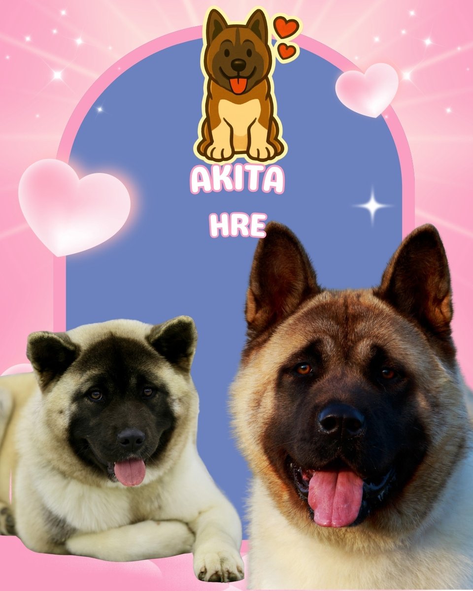 Mascotas Cachorros perros gatos Colombia club tweet media