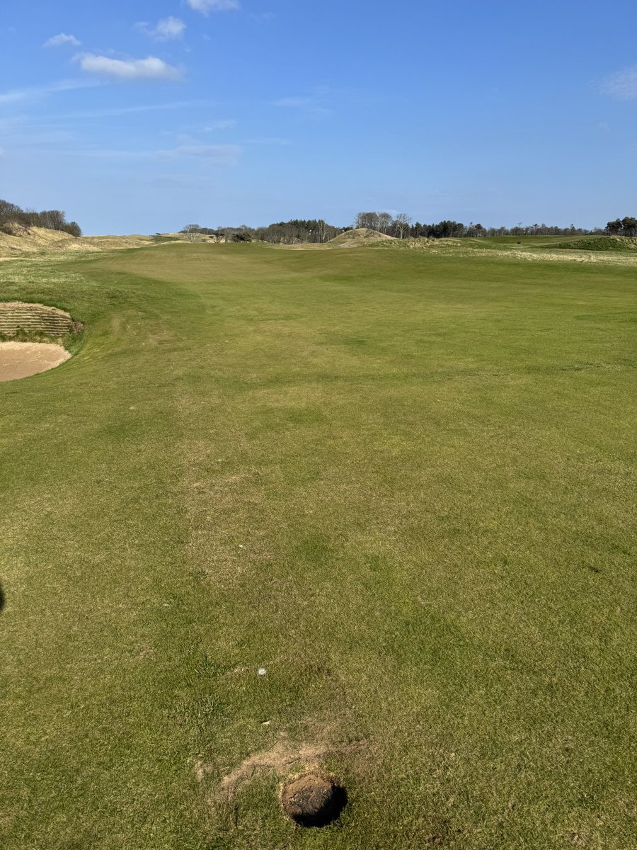 Sean Harkness tweet media