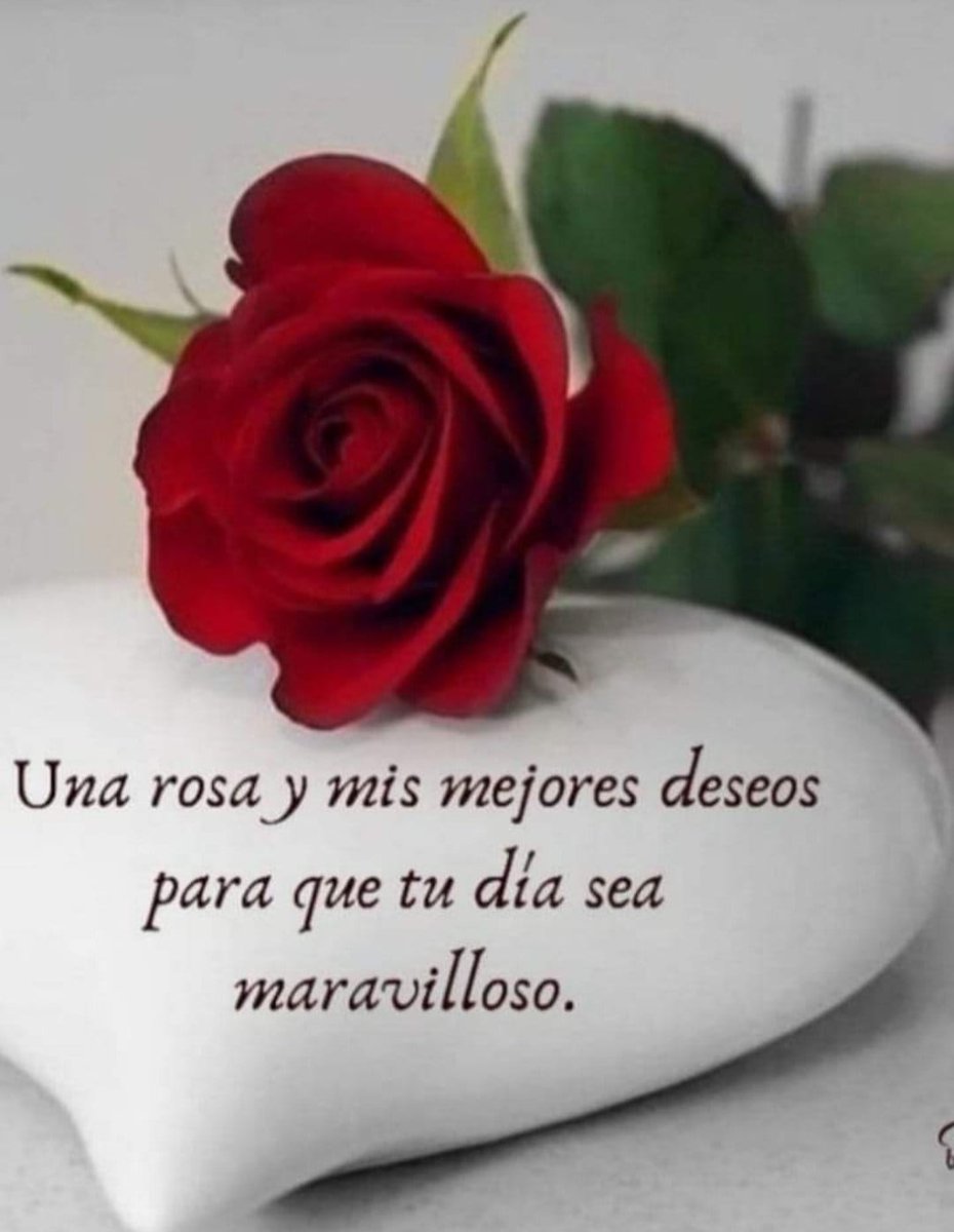 Alicia De Toma,te sigue tweet media