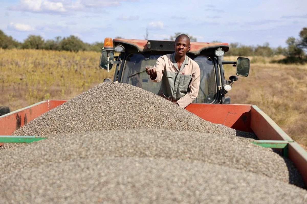 ANC Free State tweet media