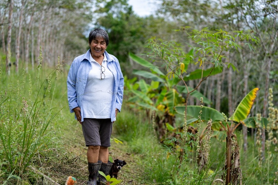 UNODC Alternative and Sustainable Livelihoods tweet media