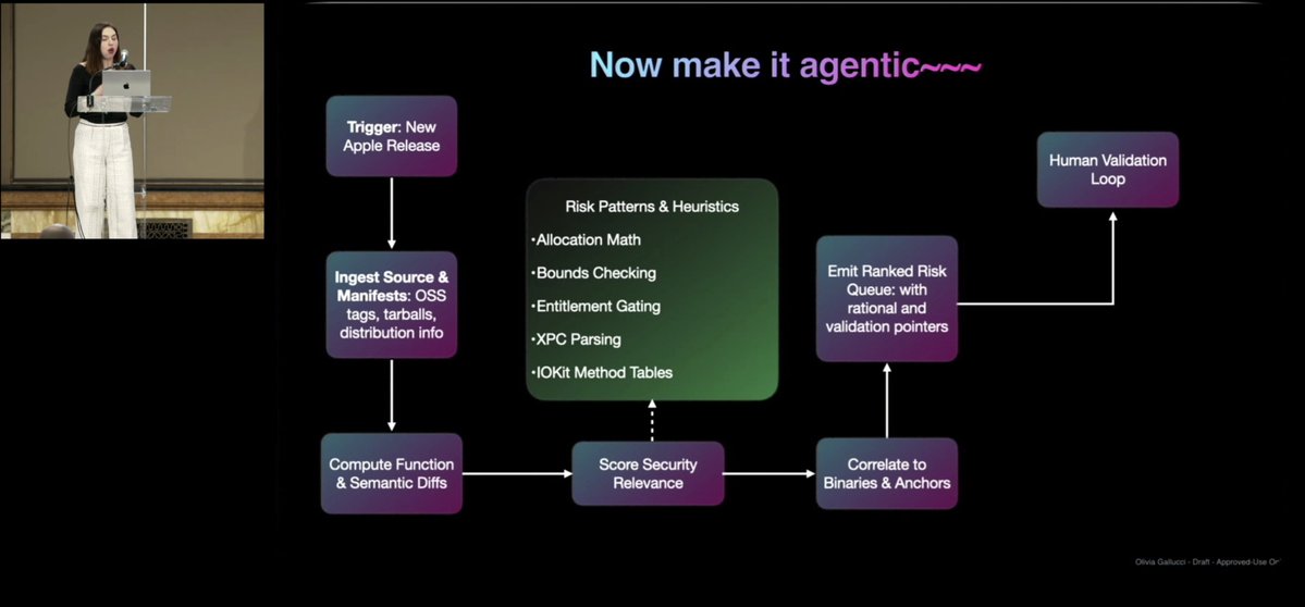 Jamie Levy🦉 tweet media